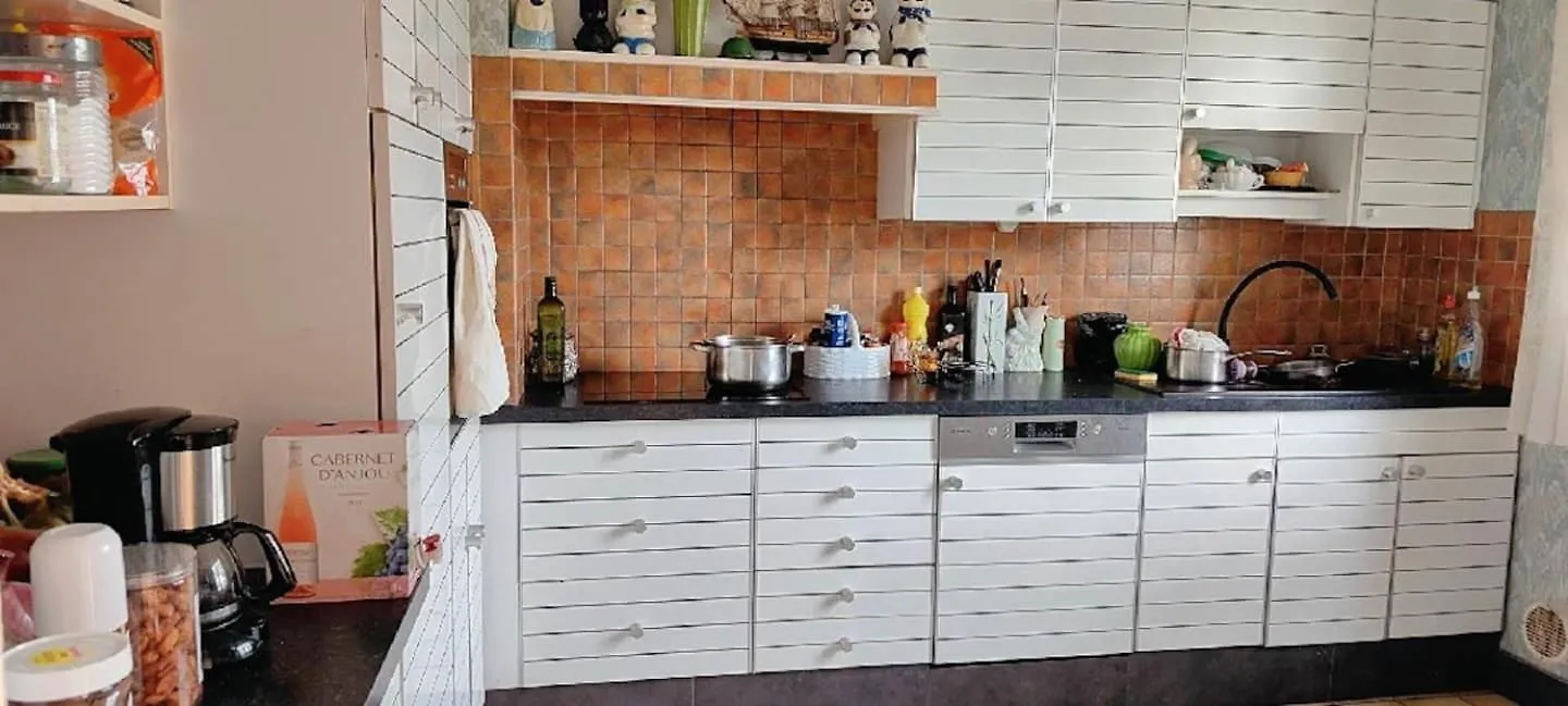 Chambre Dans Maison Individuelle Avec Rez-De-Chaussee Partage - Cuisine, Salle, Salon Et Salle De Bains Saint-Brieuc Homestay
